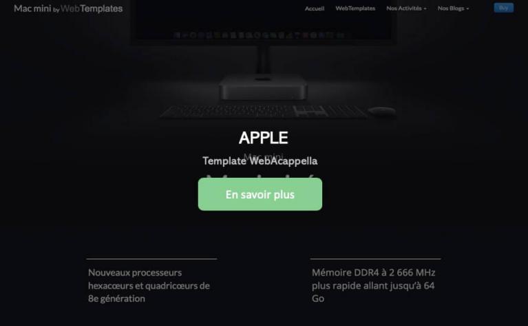 Template WebAcappella INFORMATIQUE