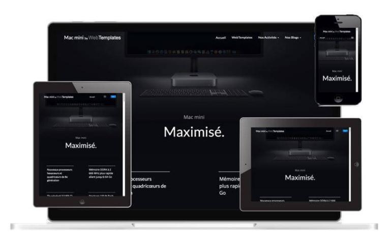 Template WebAcappella INFORMATIQUE