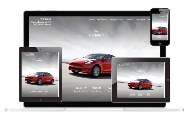 Template WebAcappella VENTE DE VEHICULE